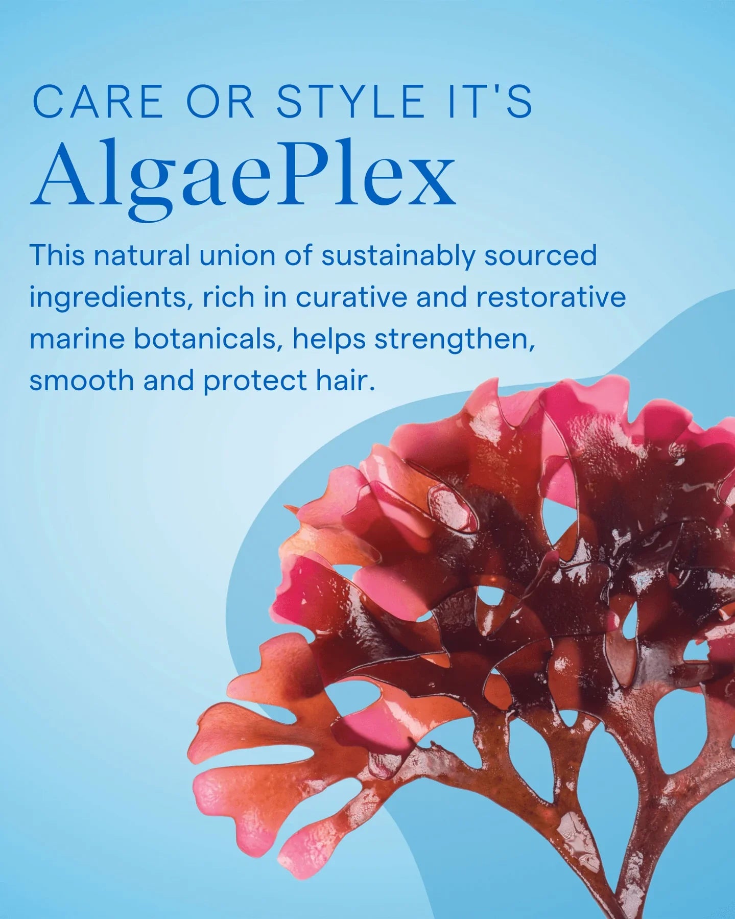 A piece of red-brown seaweed is shown against a blue background. Text reads: Aquage Molding Megagel 4 oz uses AlgaePlex, a natural marine botanical blend that provides strong control to help strengthen, smooth, and protect your hair.