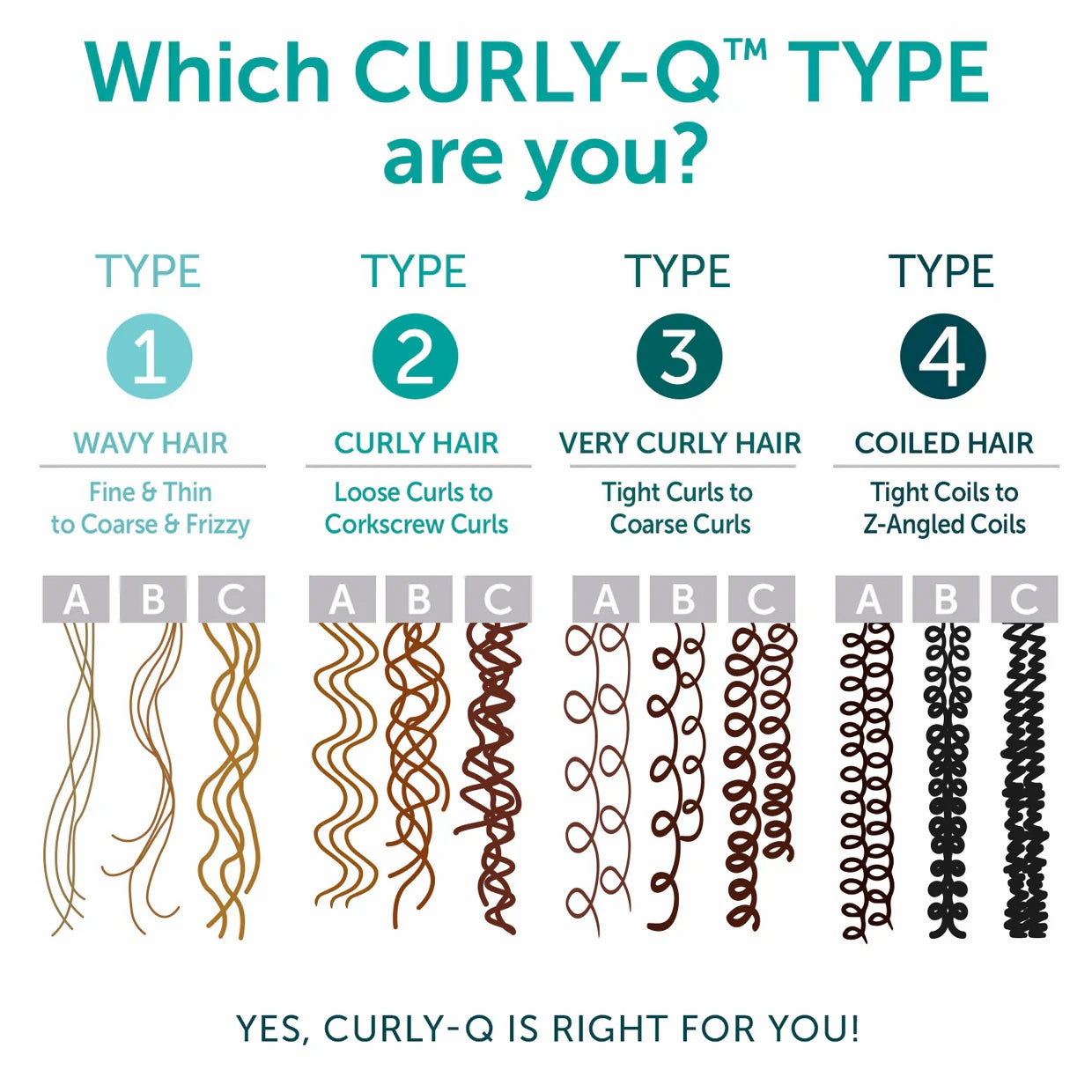 Fairy Tales hair type chart showing Type 1 2 3 4 with A B C curl illustrations for product kids curly hair shampoo