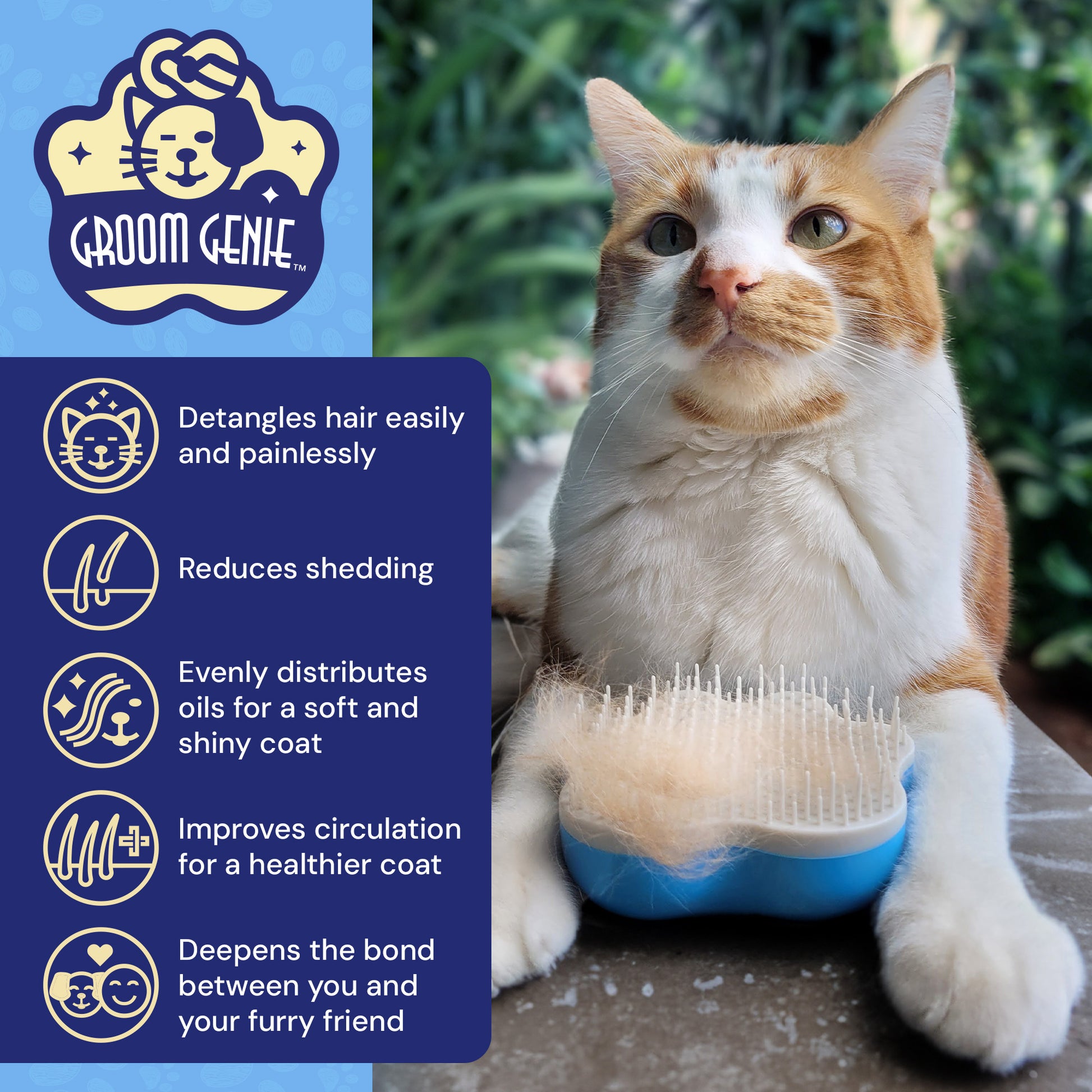 Groom Genie pet detangling brush for cats, designed for easy, pain-free grooming and reducing shedding