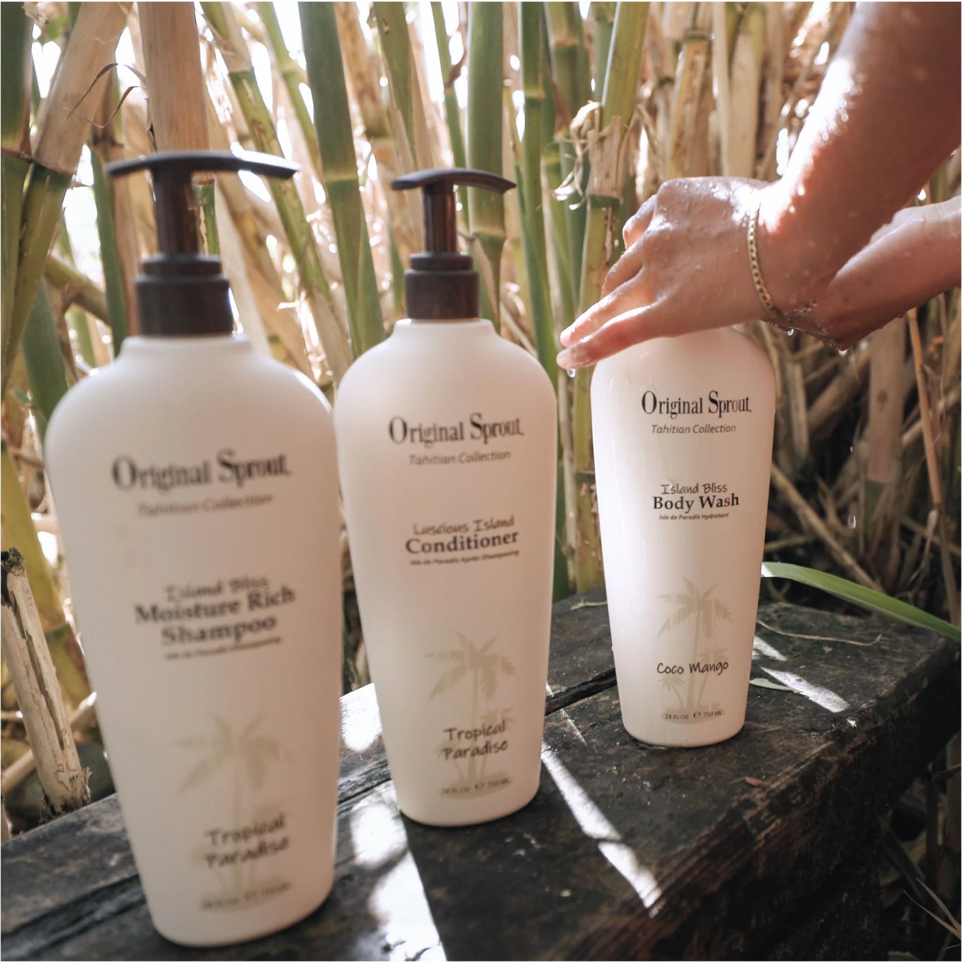 Original Sprout Island Bliss Body Wash displayed alongside Moisture Rich Shampoo and Conditioner in a tropical setting