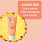 Hempz Sweet Pineapple & Honey Melon Herbal Facial Sunscreen 3 oz. SPF 30