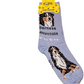 Foozys Canine Collection Socks
