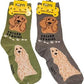 Foozys Canine Collection Socks