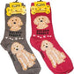 Foozys Canine Collection Socks