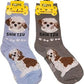 Foozys Canine Collection Socks