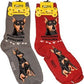 Foozys Canine Collection Socks